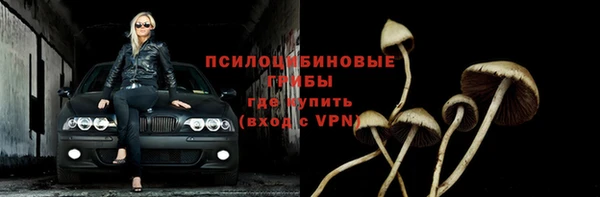 тгк Коряжма