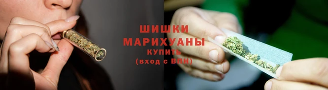 тгк Коряжма