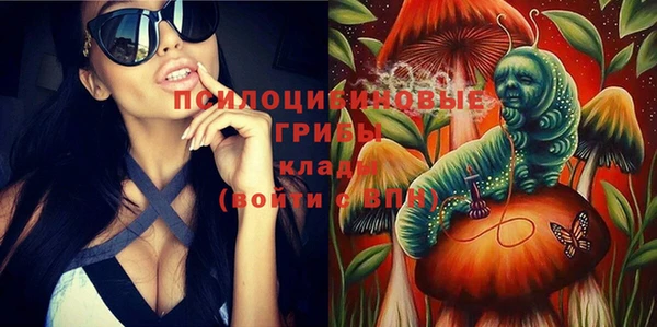 тгк Коряжма