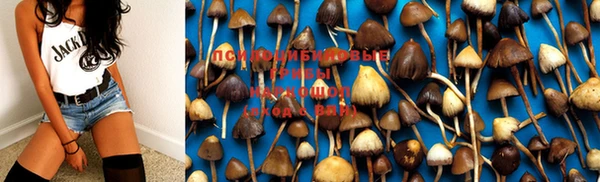 тгк Коряжма