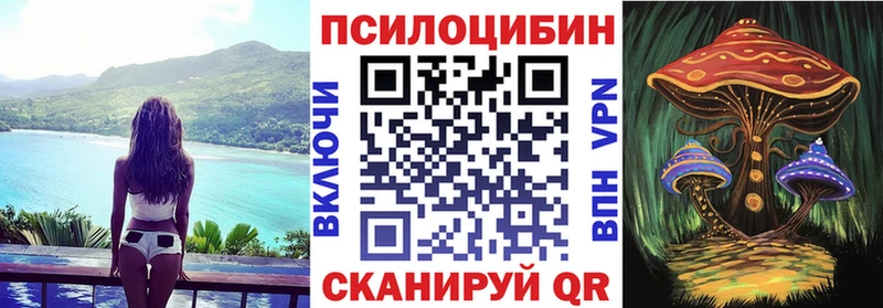 Купить где  Мценск  Псилоцибиновые грибы GOLDEN TEACHER 